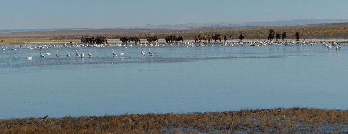 Холбоолж нуур